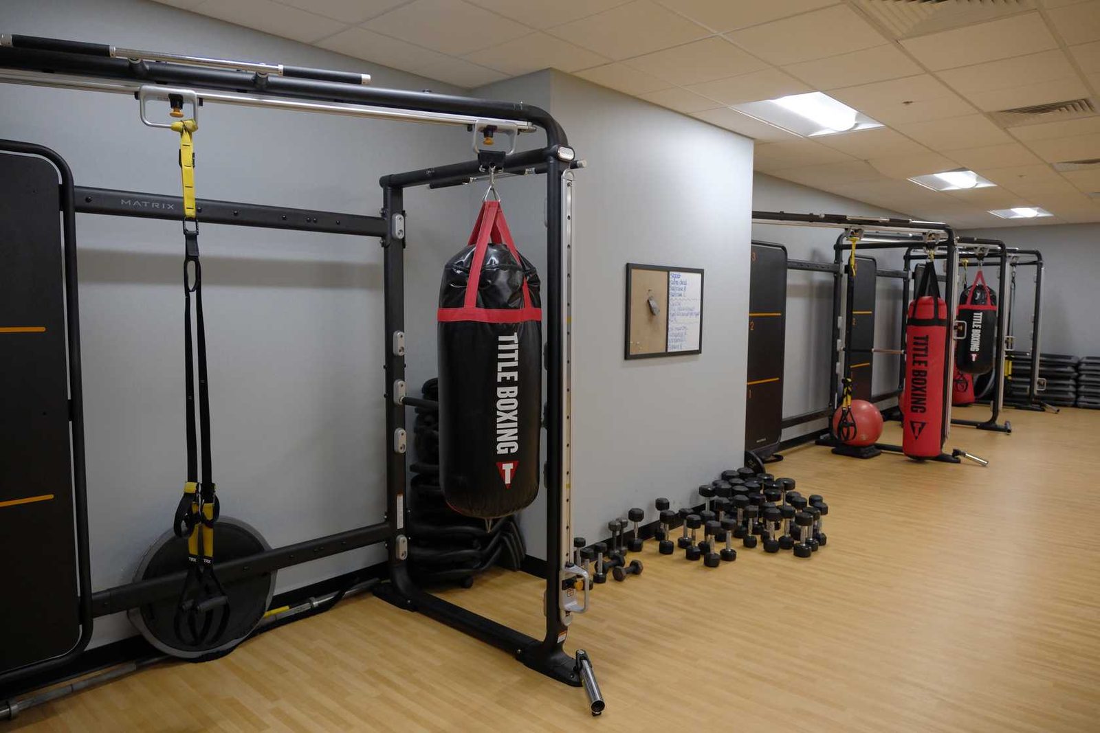 Title Boxing heavy bags and TRX straps mounted on functional training rigs